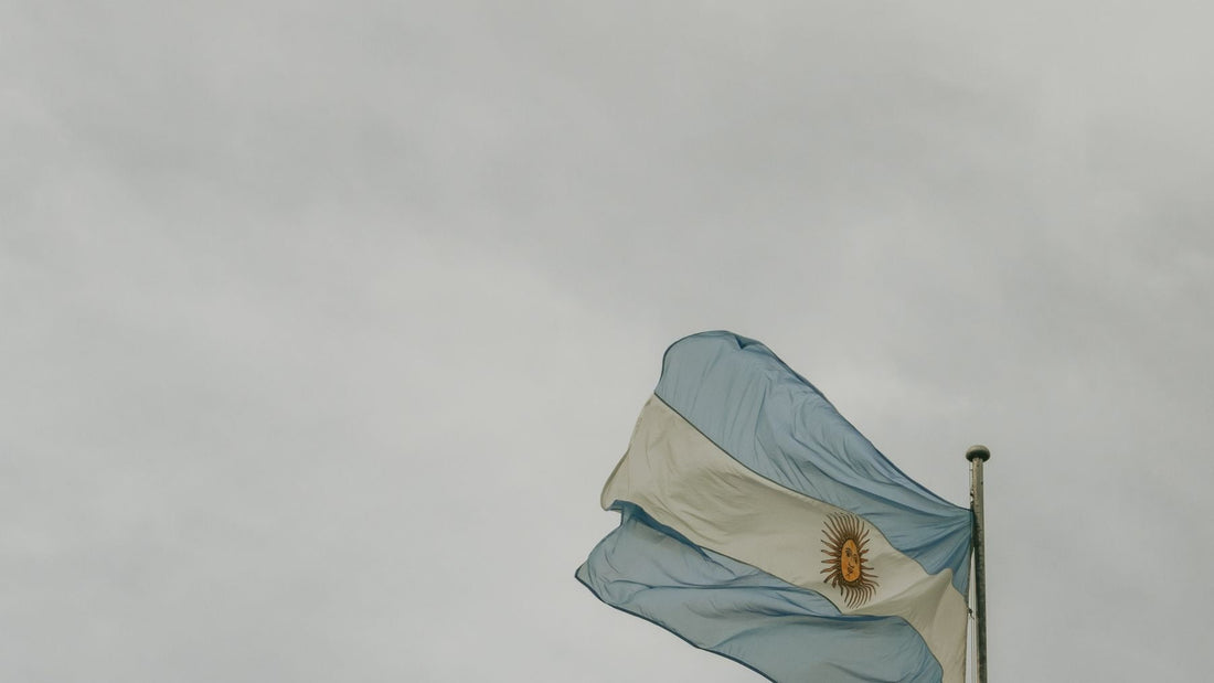 The Argentine flag billows against a cloudy sky above the Buenos Aires skyline.