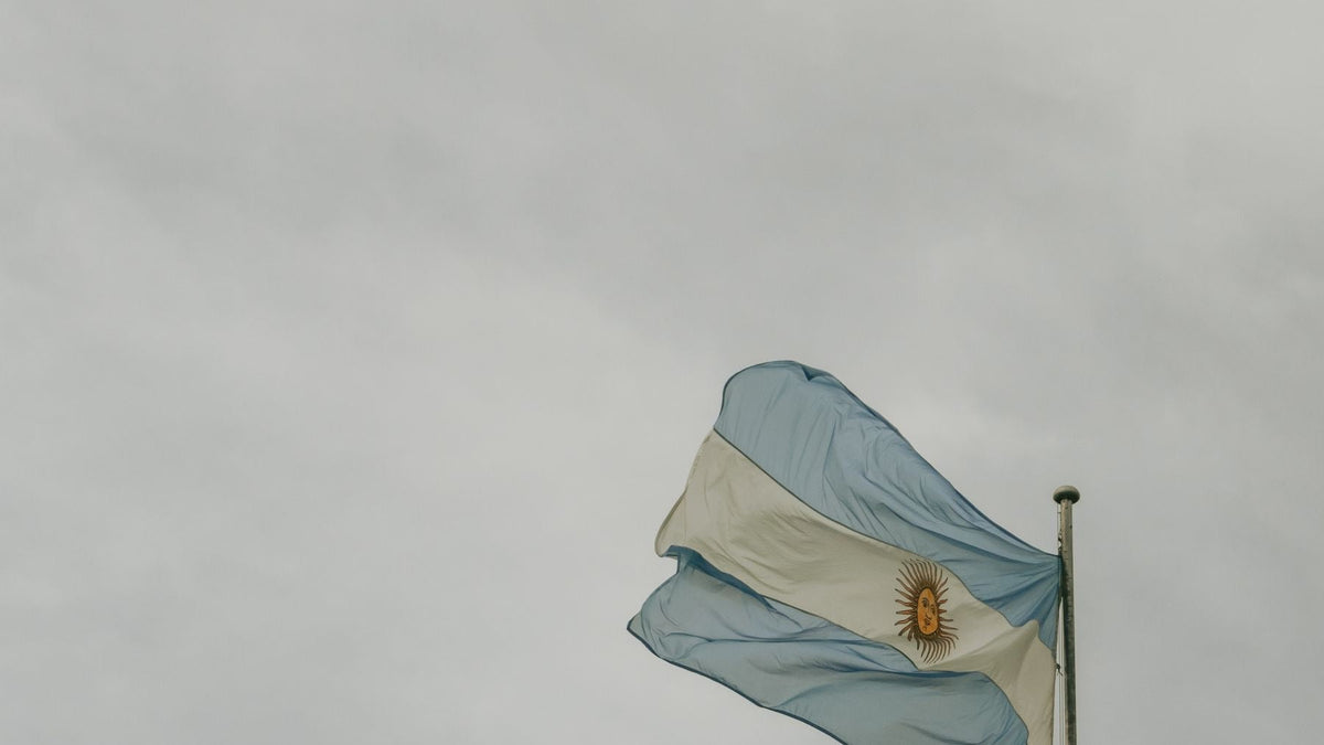 The Argentine flag billows against a cloudy sky above the Buenos Aires skyline.
