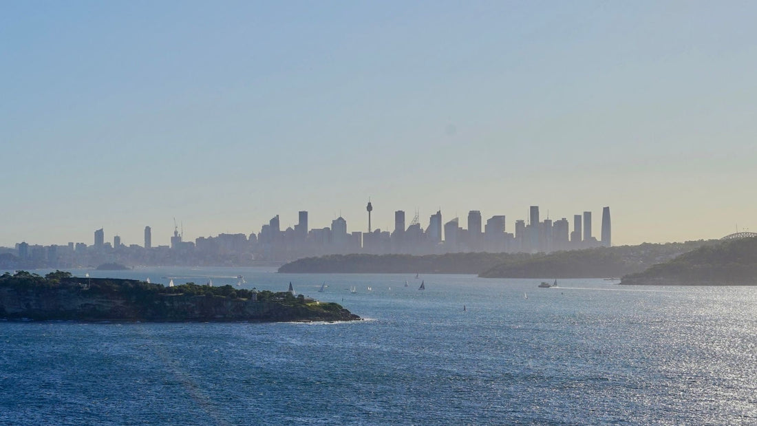 An elevated harbour view looks toward the Sydney skyline from the eastern suburbs.