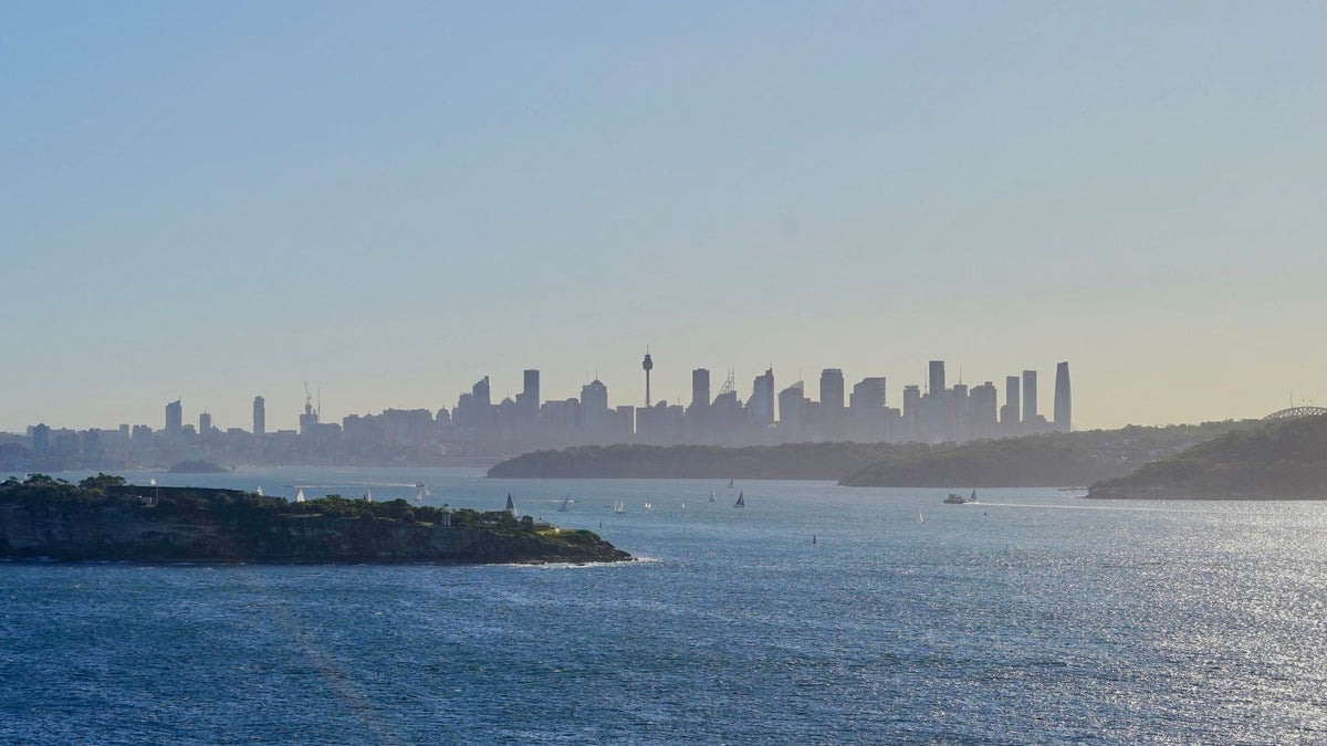 An elevated harbour view looks toward the Sydney skyline from the eastern suburbs.