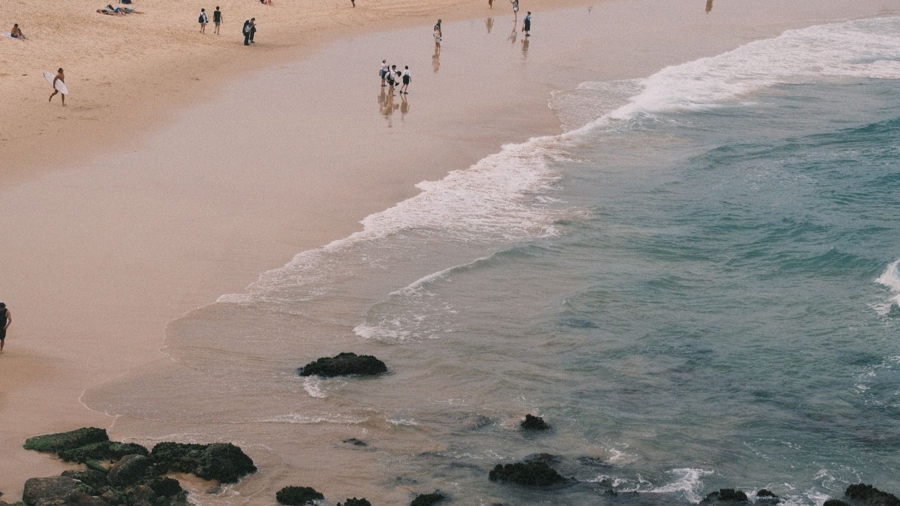Bondi Beach curves along the Sydney coastline as swimmers and surfers gather by the water.