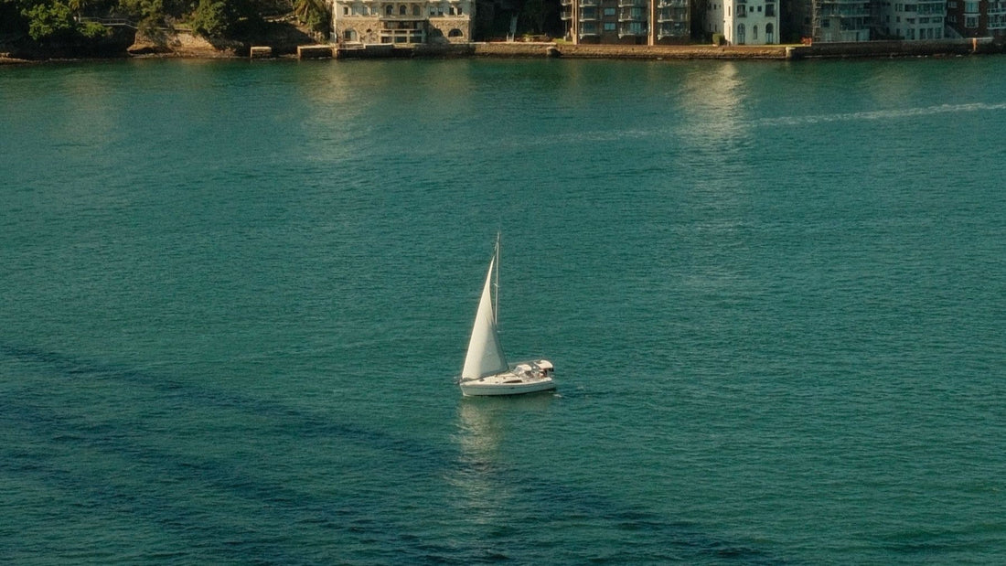 A white sailboat crosses calm Sydney Harbour water beneath the eastern suburbs shoreline.