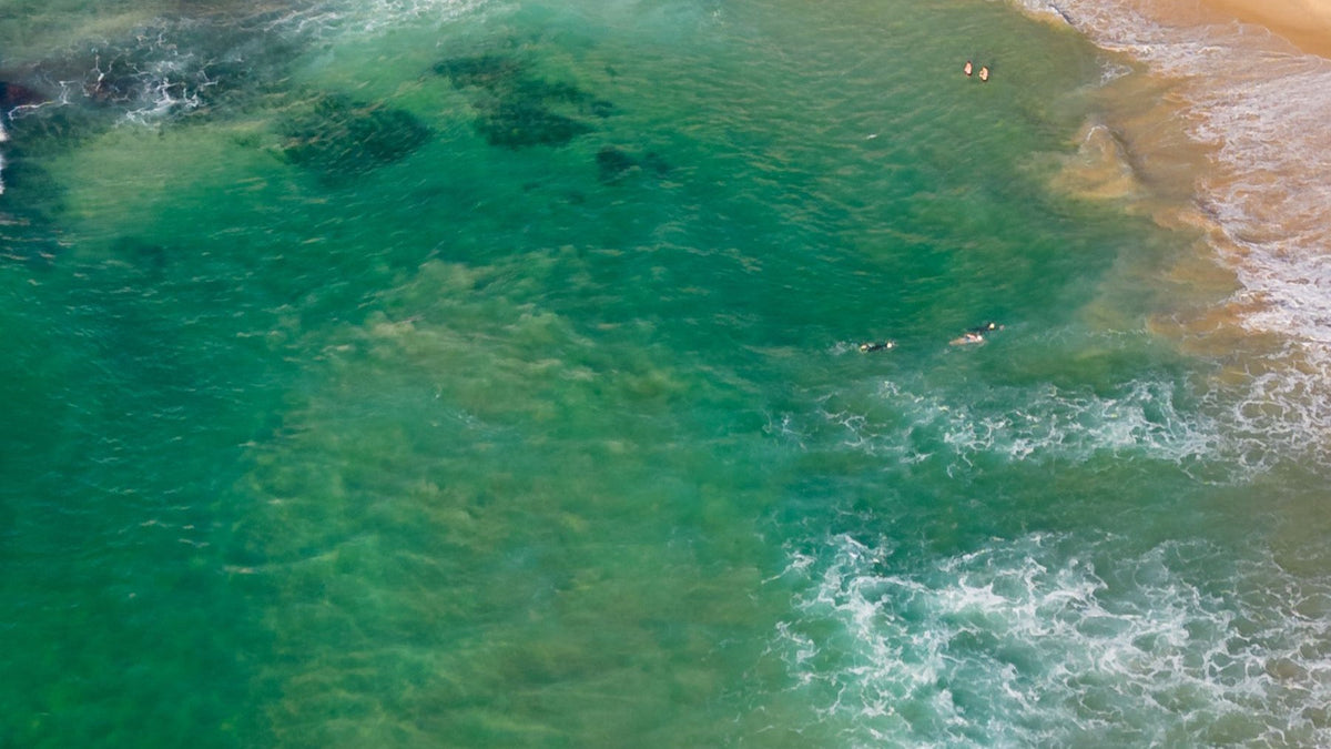 Turquoise water and swimmers are seen from above along Sydney's eastern-suburbs coastline.