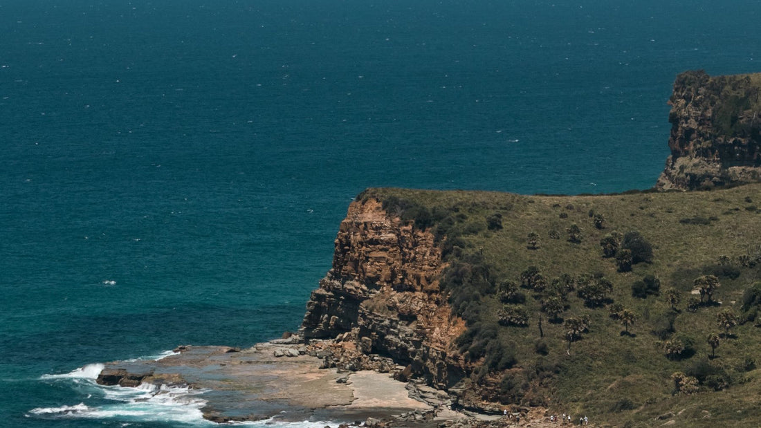 Sydney's rugged ocean cliffs and turquoise water evoke the coastal setting close to Waverley.