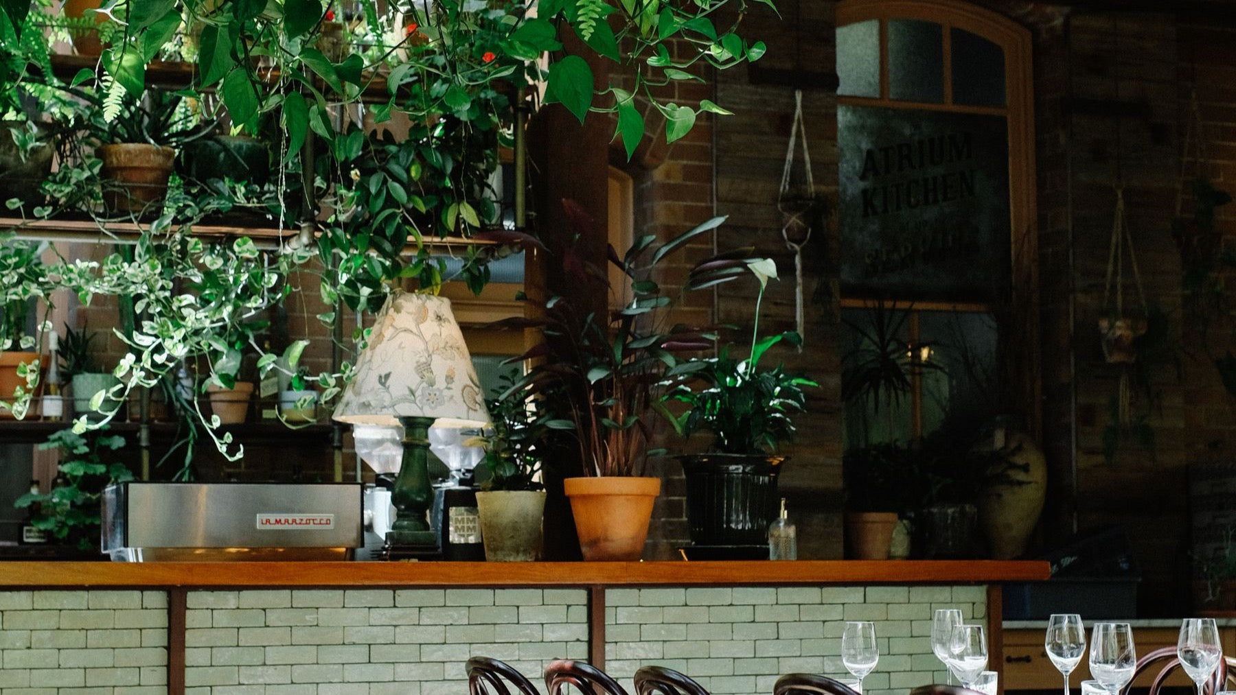 A plant-filled Sydney restaurant interior is set with glassware for evening service.